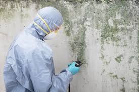 Fort Dix, NJ Mold Remediation Company